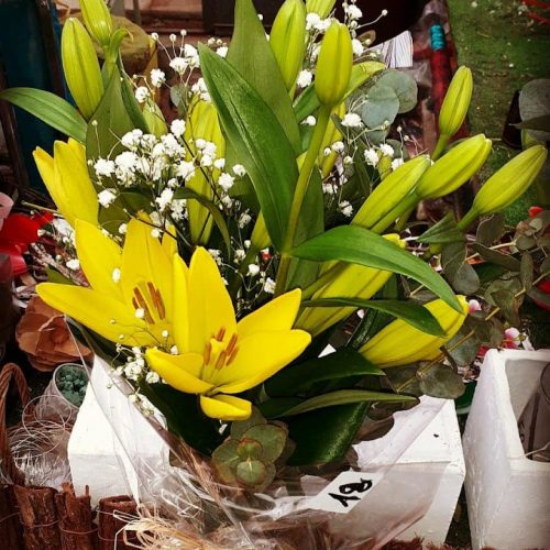 Floristeria-01