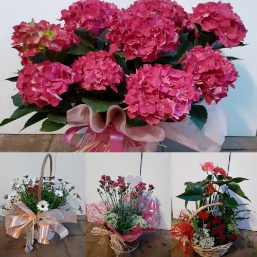 Floristeria-06
