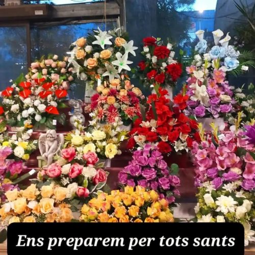 Floristeria-11